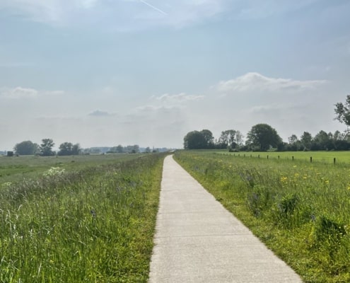 Wandelen